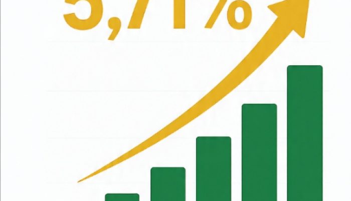 Ekonomi Lampung Selatan Ngegas! Tumbuh 5,71%, Salip Capaian 2024