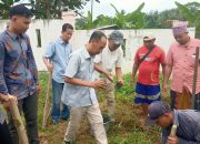 BRI Rumah BUMN Bakauheni Dorong Legalitas UMKM dan Ketahanan Pangan di Desa Seloretno