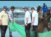 Prabowo Optimistis Indonesia Jadi Raja Udang Dunia, Panen Raya di Kebumen Tembus Puluhan Ton