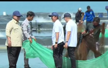 Prabowo Optimistis Indonesia Jadi Raja Udang Dunia, Panen Raya di Kebumen Tembus Puluhan Ton