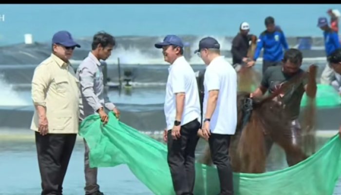 Prabowo Optimistis Indonesia Jadi Raja Udang Dunia, Panen Raya di Kebumen Tembus Puluhan Ton