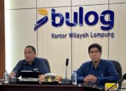 ‎BULOG Lampung Serap 369 Ribu Ton Gabah, Perkuat Cadangan Beras Nasional  ‎