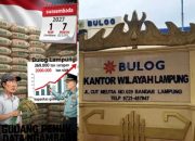 ‎BULOG LAMPUNG AKHIRNYA BUKA DATA: SERAP 369 RIBU TON, STOK 200 RIBU TON  ‎Klaim Gudang Naik 200 Persen, Tapi Angka Riil Disembunyikan