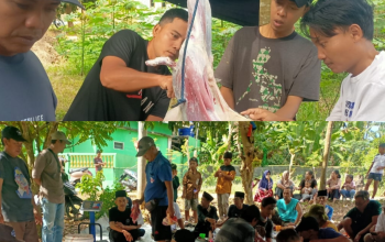 Gotong Royong Idul Adha di Seloretno Tetap Terjaga, 18 Sapi dan 43 Kambing Dikurbankan