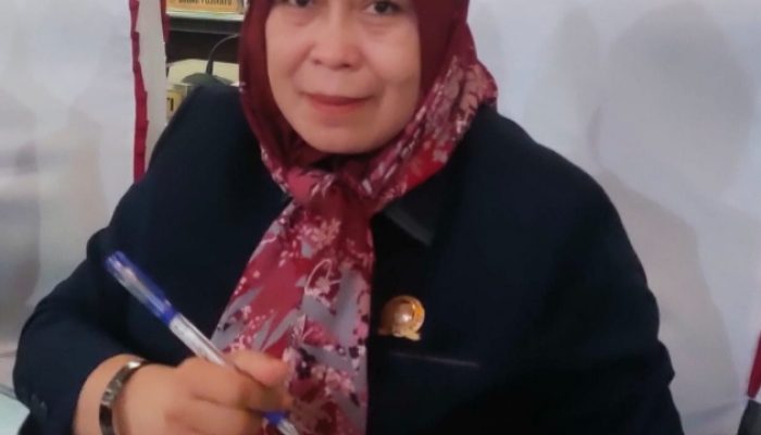 ‎DPRD Lamsel Buka Suara: Tak Perintahkan Pabrik Dibuka, Hanya Jembatani Warga yang Kesulitan Ekonomi