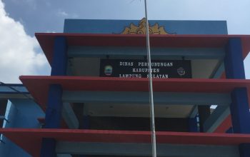 Proyek Marka Jalan & APILL Dishub Lamsel 2026 Telan Rp3,1 Miliar, Dominasi Penyedia Tunggal Jadi Sorotan