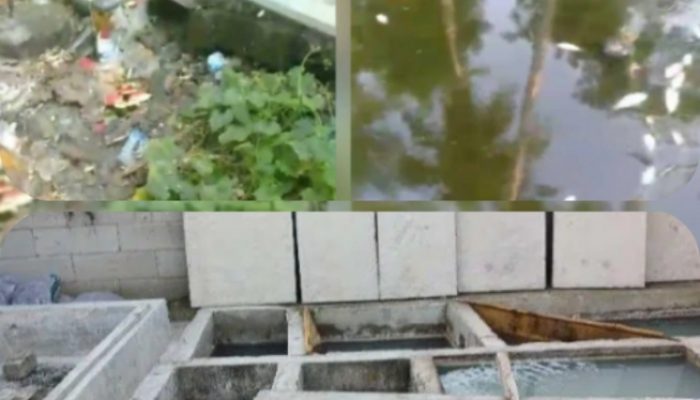 ‎Dugaan Maladministrasi MBG Lampung Selatan: IPAL Tak Standar, Warga Desak Evaluasi Korwil Kabupaten   ‎