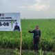 ‎Bibit Padi PS 08 Sukses Ditanam di Ribuan Hektar, Seluruh Kecamatan di Lampung Selatan Pakai Varietas Unggul Ini