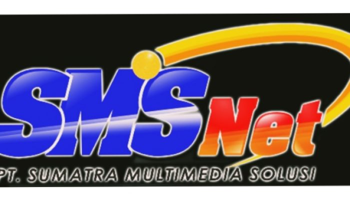 ‎PT SMS Apresiasi Langkah DPMPTSP Lamsel Tertibkan Kabel dan Dukung Gema Helau