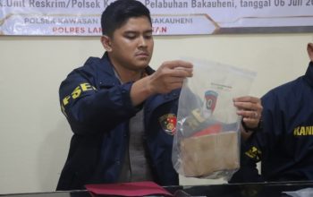 Gagalkan Penyelundupan Senpi Rakitan, Polisi Amankan Sopir Travel di Pelabuhan Bakauheni