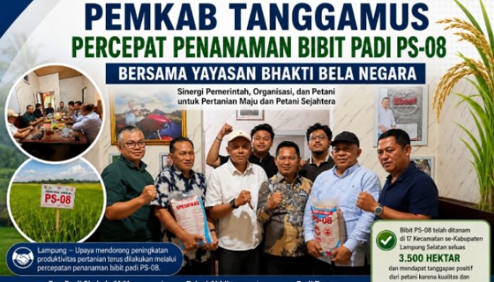 ‎Pemkab Tanggamus Melakukan Percepatan Penanaman Bibit Padi PS-08 Bersama Yayasan Bhakti Bela Negara
