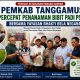 ‎Pemkab Tanggamus Melakukan Percepatan Penanaman Bibit Padi PS-08 Bersama Yayasan Bhakti Bela Negara