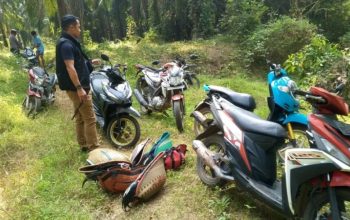 Polsek Katibung Grebek Sabung Ayam, Kapolsek Keluarkan Himbauan Tegas: “Stop Judi, Jaga Kampung”