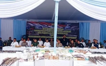 ‎Polda Lampung Musnahkan Narkoba Rp264 Miliar dan 166 Senpi Ilegal  ‎