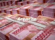 ‎Kutukan SiLPA Menghantui APBD Lampung Selatan Setiap Tahunnya