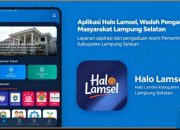 ‎Aplikasi Halo Lamsel Resmi Tersedia di Google Play, Warga Lamsel Kini Bisa Akses 297 Layanan dari Smartphone