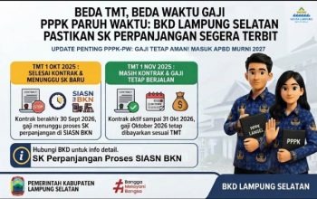 Beda TMT, Gaji PPPK-PW Tak Cair Serentak SK Perpanjangan Segera Terbit, Anggaran Hingga 2027 Tersedia