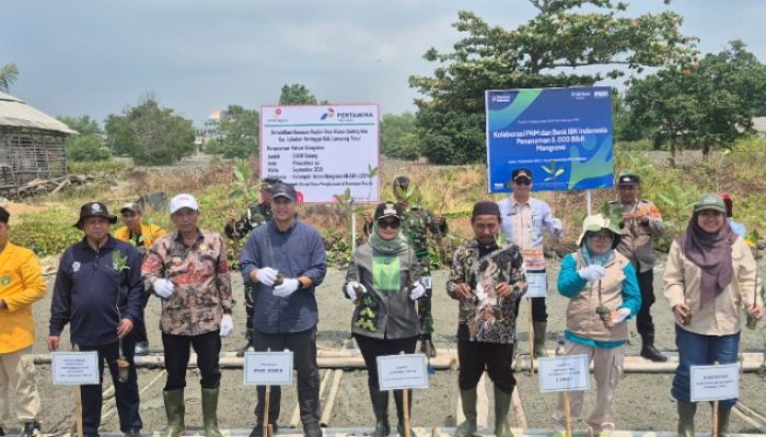‎PHE OSES Kembangkan Demplot Mangrove di Muara Gading Mas, Bupati Ela: Sinergi Kunci Keberhasilan Konservasi